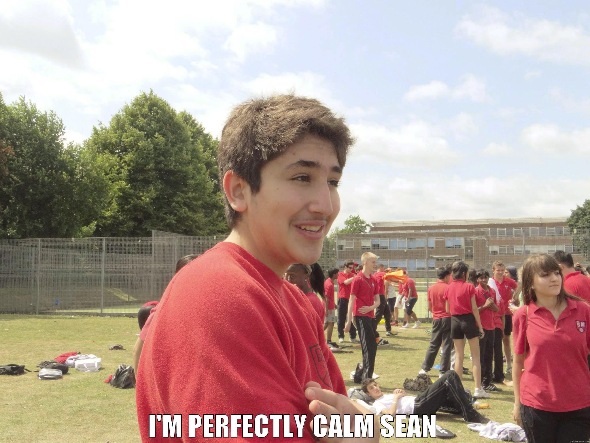  I'M PERFECTLY CALM SEAN Misc
