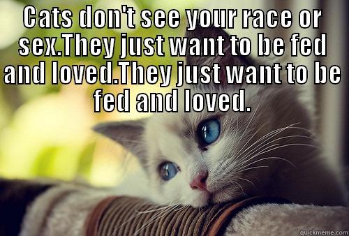 CATS DON'T SEE YOUR RACE OR SEX.THEY JUST WANT TO BE FED AND LOVED.THEY JUST WANT TO BE FED AND LOVED.  First World Problems Cat
