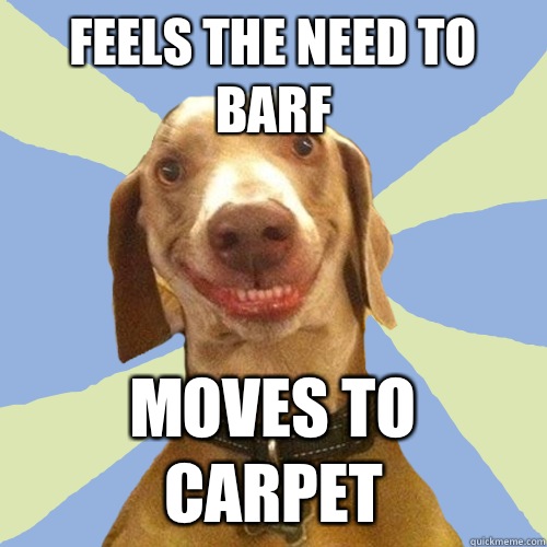 Feels the need to barf Moves to carpet  Disgusting Doggy