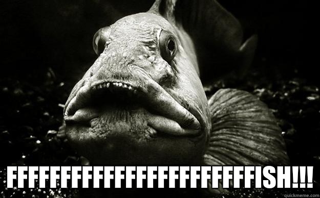 FFFFFFFFFFFFFFFFFFFFFFFISH!!!  Assfish
