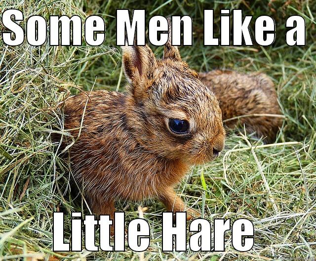 SOME MEN LIKE A  LITTLE HARE Misc