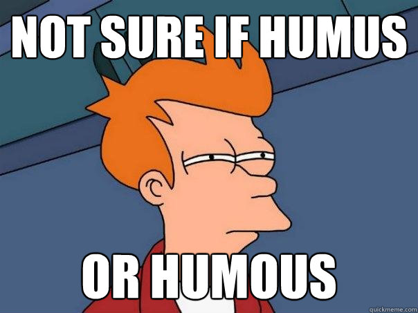 not sure if humus or humous  Futurama Fry
