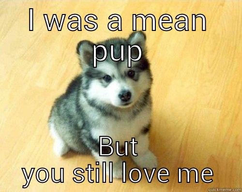 bad pup - I WAS A MEAN PUP BUT YOU STILL LOVE ME Baby Courage Wolf