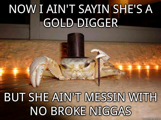 now I ain't sayin she's a gold digger but she ain't messin with no broke niggas  Fancy Crab