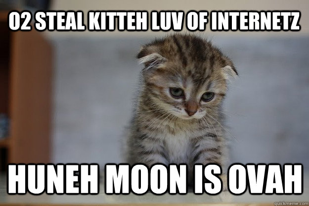O2 steal kitteh luv of internetz Huneh moon is ovah  Sad Kitten