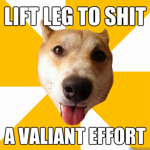 lift leg to shit a valiant effort  