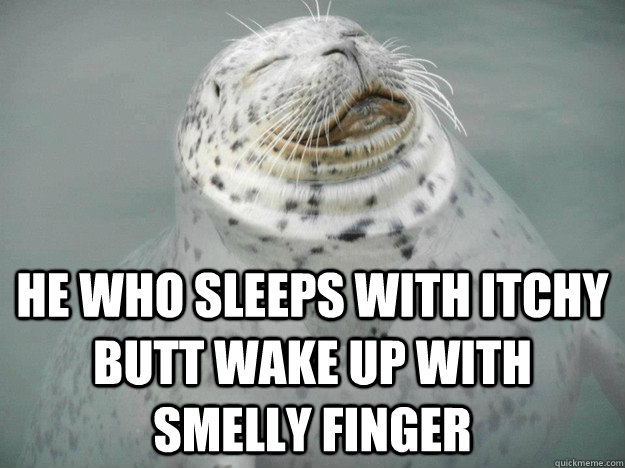 he who sleeps with itchy butt wake up with smelly finger  Zen Seal