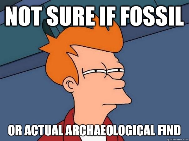 Not sure if fossil or actual archaeological find  Futurama Fry