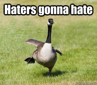 Haters gonna hate   