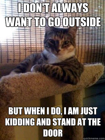I don't always want to go outside but when I do, i am just kidding and stand at the door  The Most Interesting Cat in the World