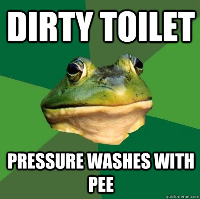 Dirty Toilet Pressure washes with pee  Foul Bachelor Frog