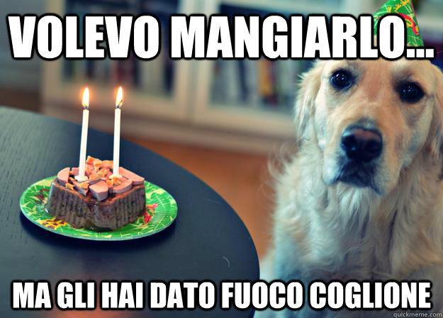 Volevo mangiarlo... Ma gli hai dato fuoco coglione  Sad Birthday Dog