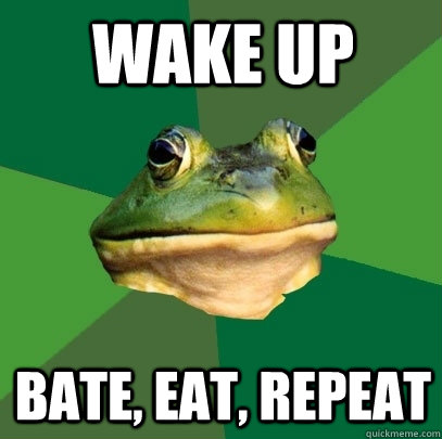 wake up bate, eat, repeat  Foul Bachelor Frog