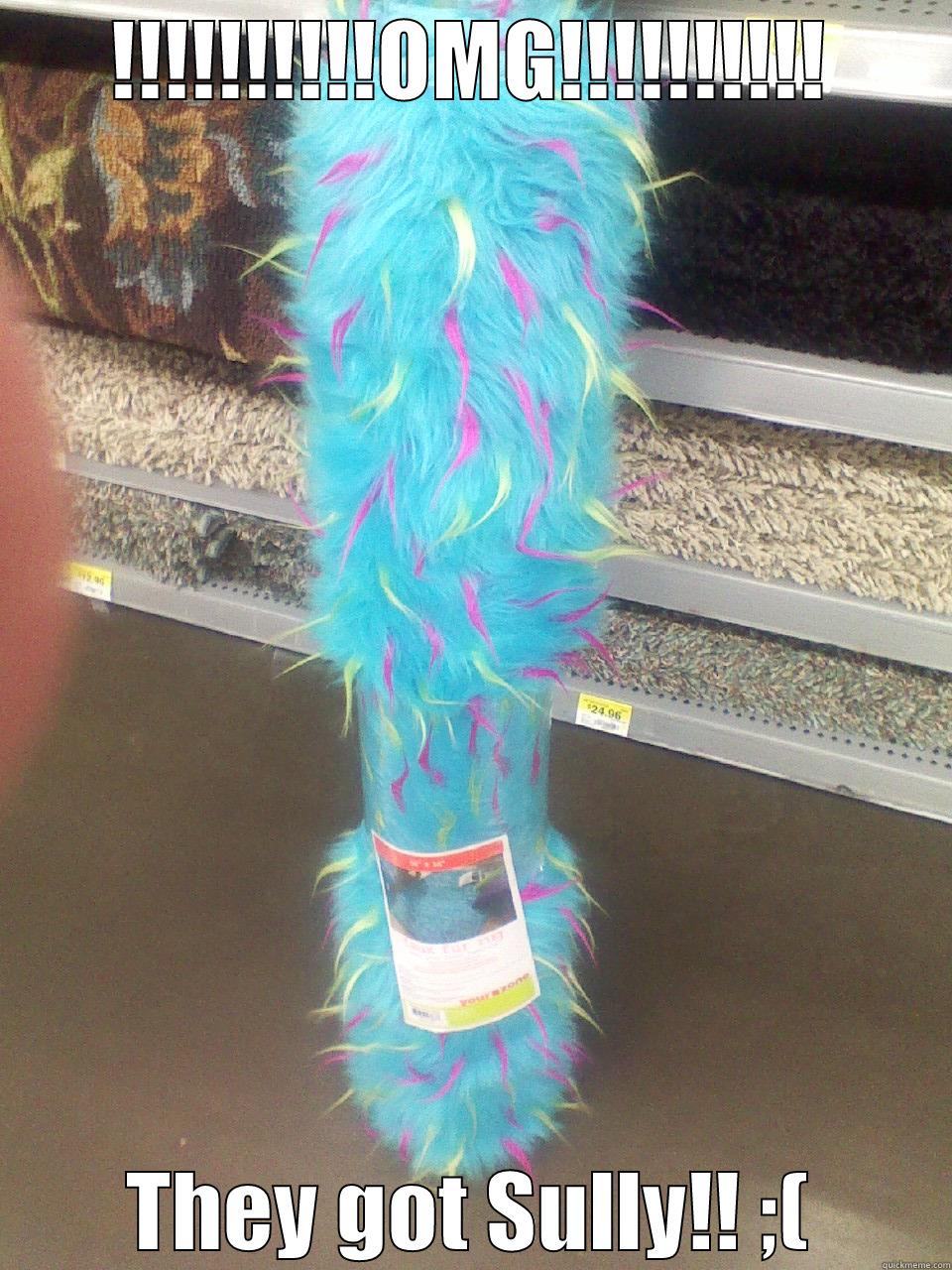 !!!!!!!!!!OMG!!!!!!!!!! THEY GOT SULLY!! ;( Misc