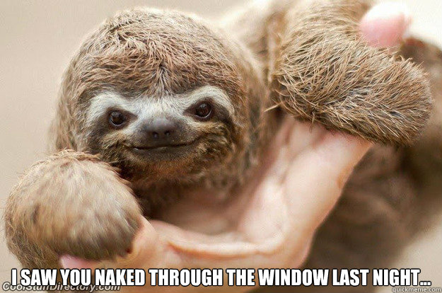  I saw you naked through the window last night...  Creepy Sloth