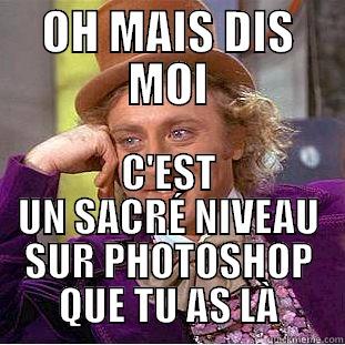 OH MAIS DIS MOI C'EST UN SACRÉ NIVEAU SUR PHOTOSHOP QUE TU AS LÀ Condescending Wonka