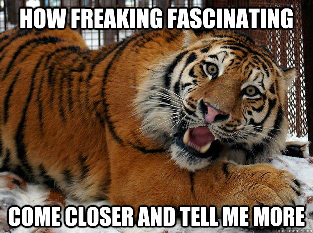 How freaking fascinating Come closer and tell me more - How freaking fascinating Come closer and tell me more  Fascinated Tiger