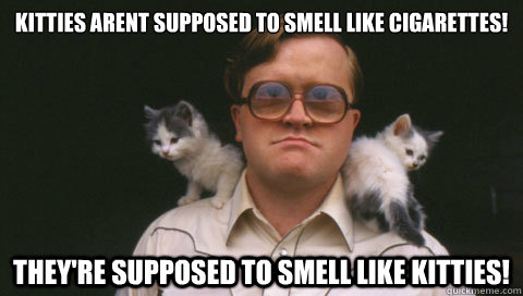 Kitties arent supposed to smell like cigarettes! they're supposed to smell like kitties!  