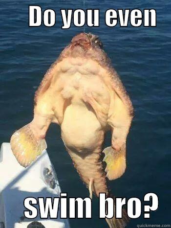       DO YOU EVEN         SWIM BRO?  Misc