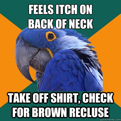 Feels itch on 
back of neck take off shirt, check for brown recluse  Paranoid Parrot