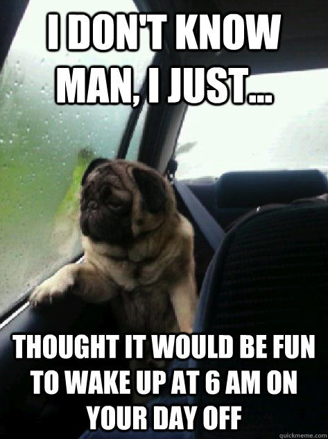 I don't know man, I just... Thought it would be fun to wake up at 6 am on your day off  Introspective Pug