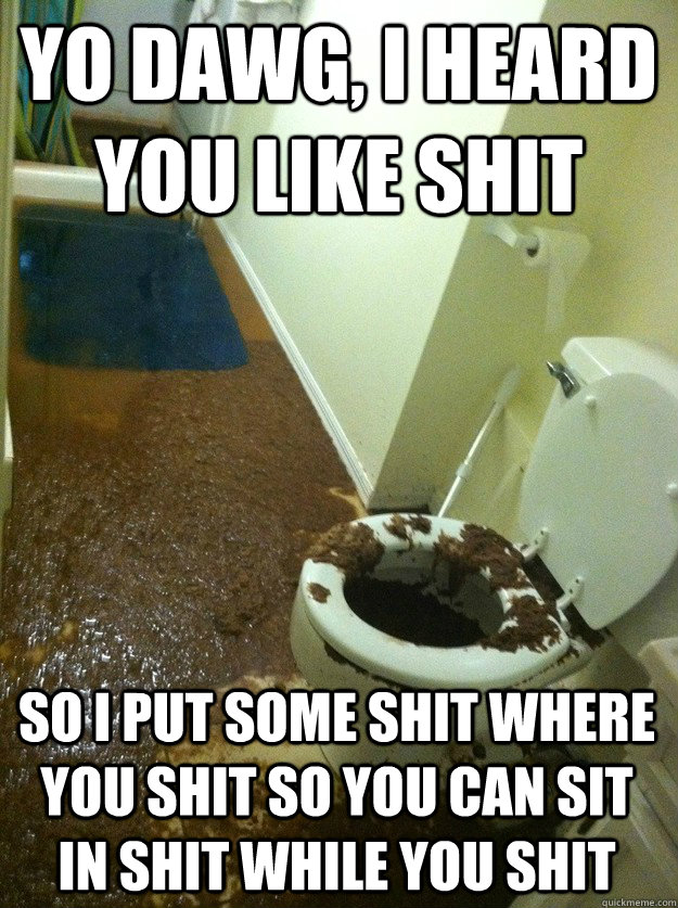 Yo Dawg, i heard you like shit so I put some shit where you shit so you can sit in shit while you shit  Shit Storm