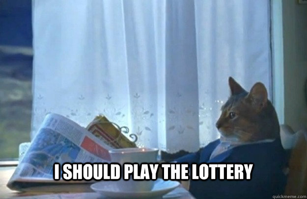 I should play the lottery  Sophisticated Cat