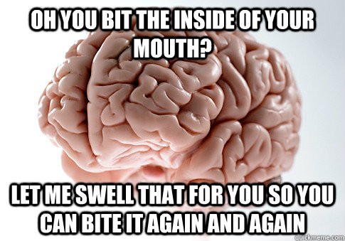 Oh you bit the inside of your mouth? Let me swell that for you so you can bite it again and again  Scumbag Brain