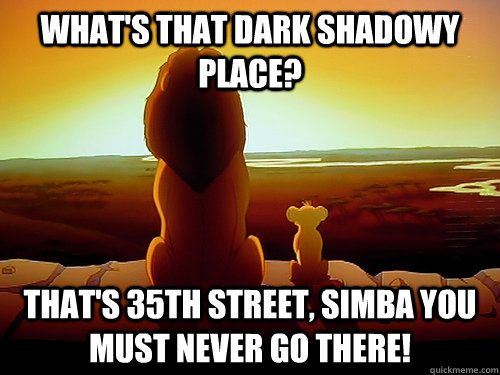 What's that dark shadowy place? That's 35th street, simba you must never go there! - What's that dark shadowy place? That's 35th street, simba you must never go there!  Lion king Fabric