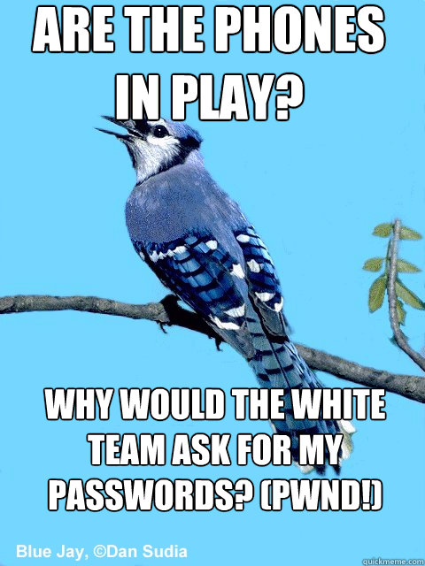 Are the Phones in Play? Why would the White team ask for my passwords? (PWND!)  Blue Team Bird