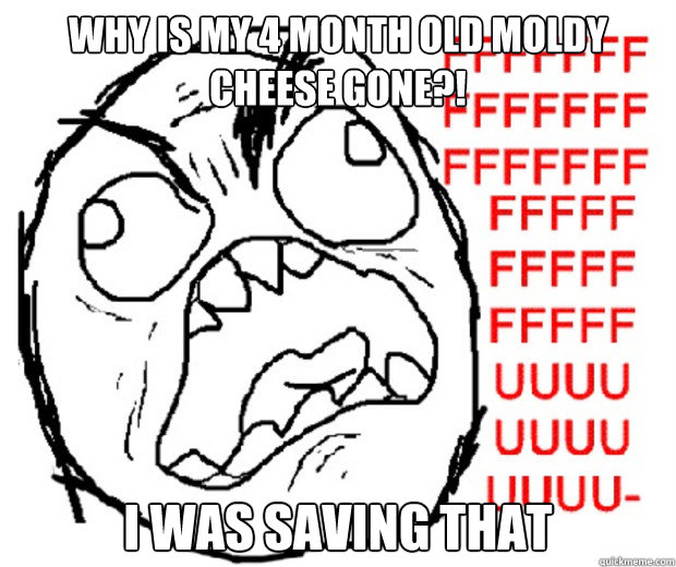 why is my 4 month old moldy cheese gone?!  i was saving that - why is my 4 month old moldy cheese gone?!  i was saving that  Rage Guy