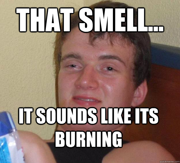 That Smell...  It sounds like its Burning  10 Guy