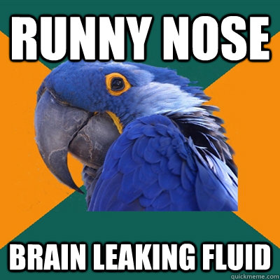 Runny Nose Brain leaking fluid  Paranoid Parrot