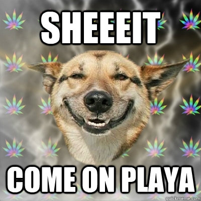 sheeeit come on playa - sheeeit come on playa  Stoner Dog