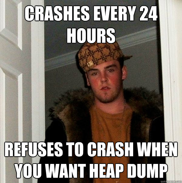Crashes Every 24 hours Refuses to crash when you want heap dump - Crashes Every 24 hours Refuses to crash when you want heap dump  Scumbag Steve