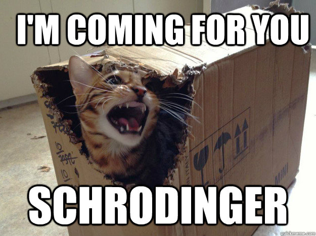 SCHRODINGER I'M COMING FOR YOU  