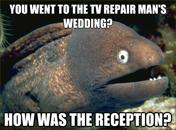 You went to the TV Repair man's wedding? How was the reception? - You went to the TV Repair man's wedding? How was the reception?  Bad Joke Eel