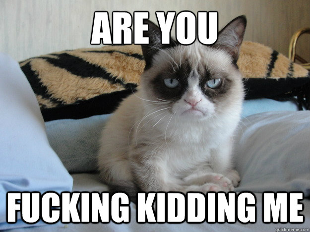 are you fucking kidding me  Grumpy Cat