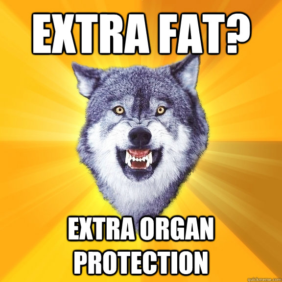 extra fat? Extra organ protection - extra fat? Extra organ protection  Misc