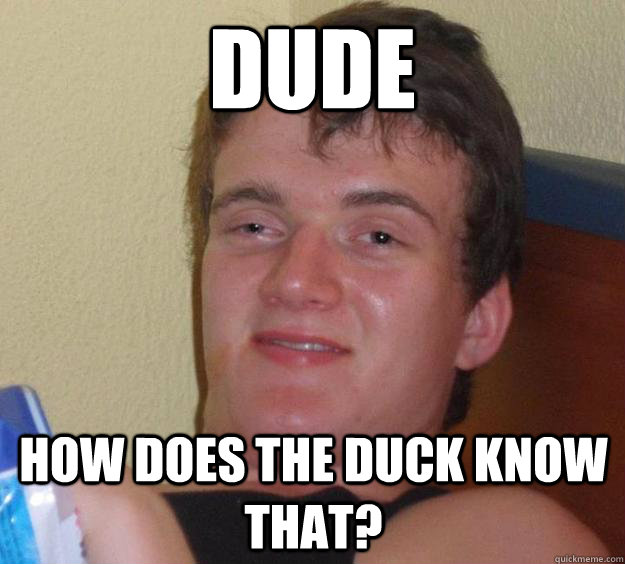 Dude How does the duck know that? - Dude How does the duck know that?  10 Guy