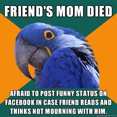 friend's mom died afraid to post funny status on facebook in case friend reads and thinks not mourning with him.  Paranoid Parrot