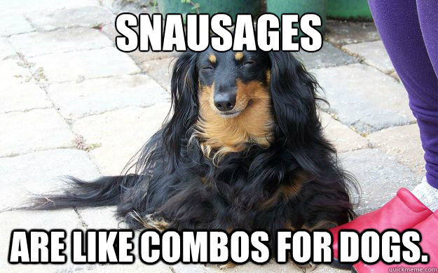 snausages  Are like combos for dogs.  