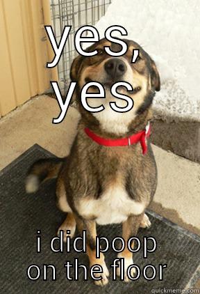 YES, YES I DID POOP ON THE FLOOR Good Dog Greg