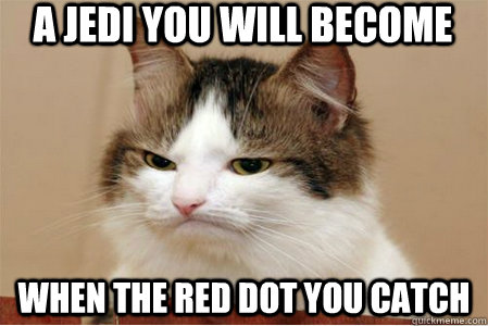 A Jedi you will become when the red dot you catch  