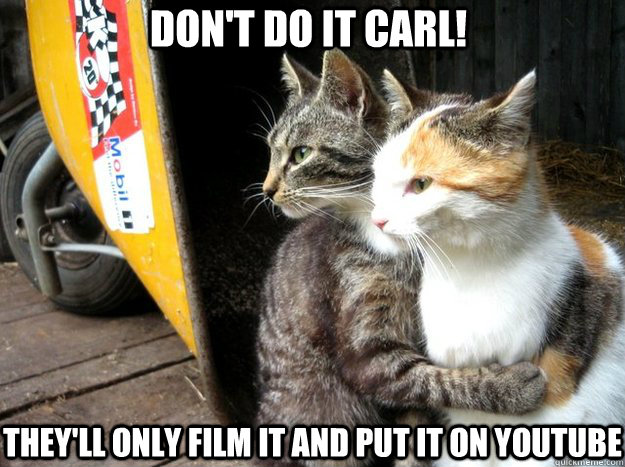 Don't do it carl! They'll only film it and put it on youtube  Restraining Cat