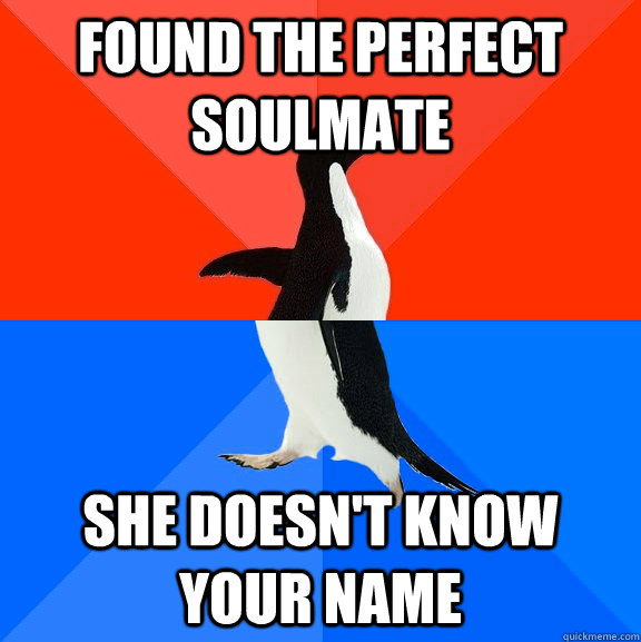 Found the perfect soulmate She doesn't know your name  Socially Awesome Awkward Penguin