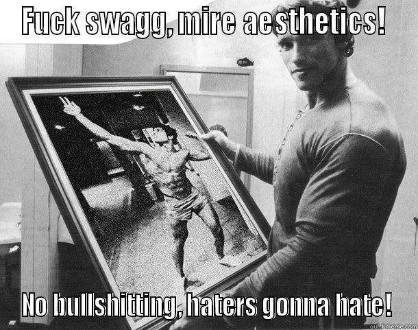 FUCK SWAGG, MIRE AESTHETICS!  NO BULLSHITTING, HATERS GONNA HATE! Misc