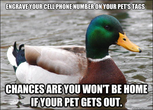 Engrave your cell phone number on your pet's tags chances are you won't be home if your pet gets out.   Actual Advice Mallard