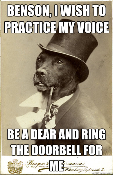 Benson, I wish to practice my voice be a dear and ring the doorbell for me  Old Money Dog