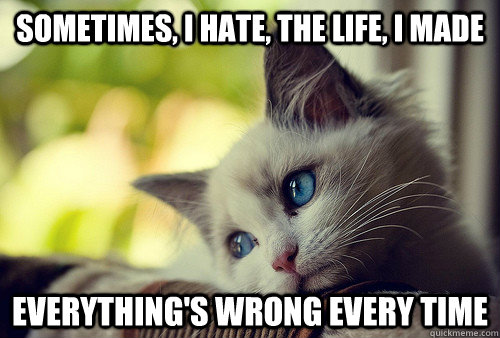 Sometimes, I hate, the life, I made Everything's wrong every time  First World Cat Problems